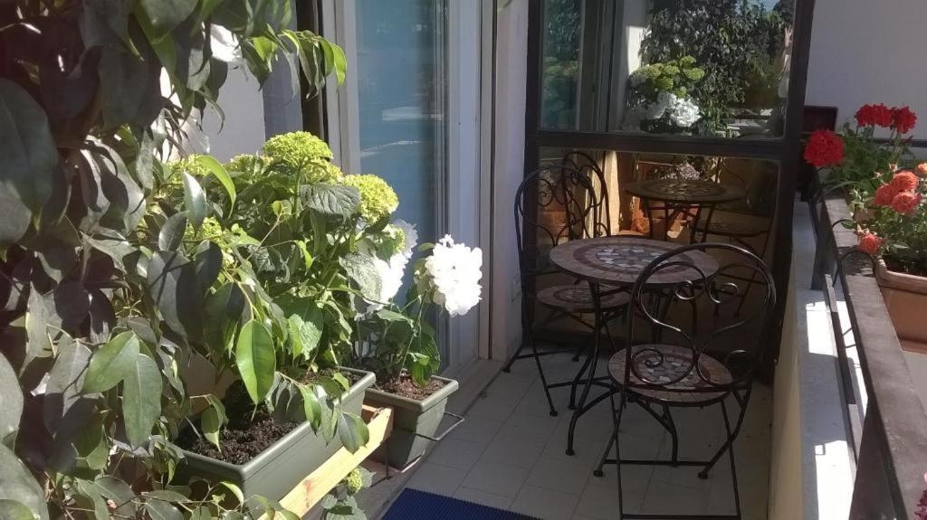 Bb Dante Bed & Breakfast Messina Dış mekan fotoğraf